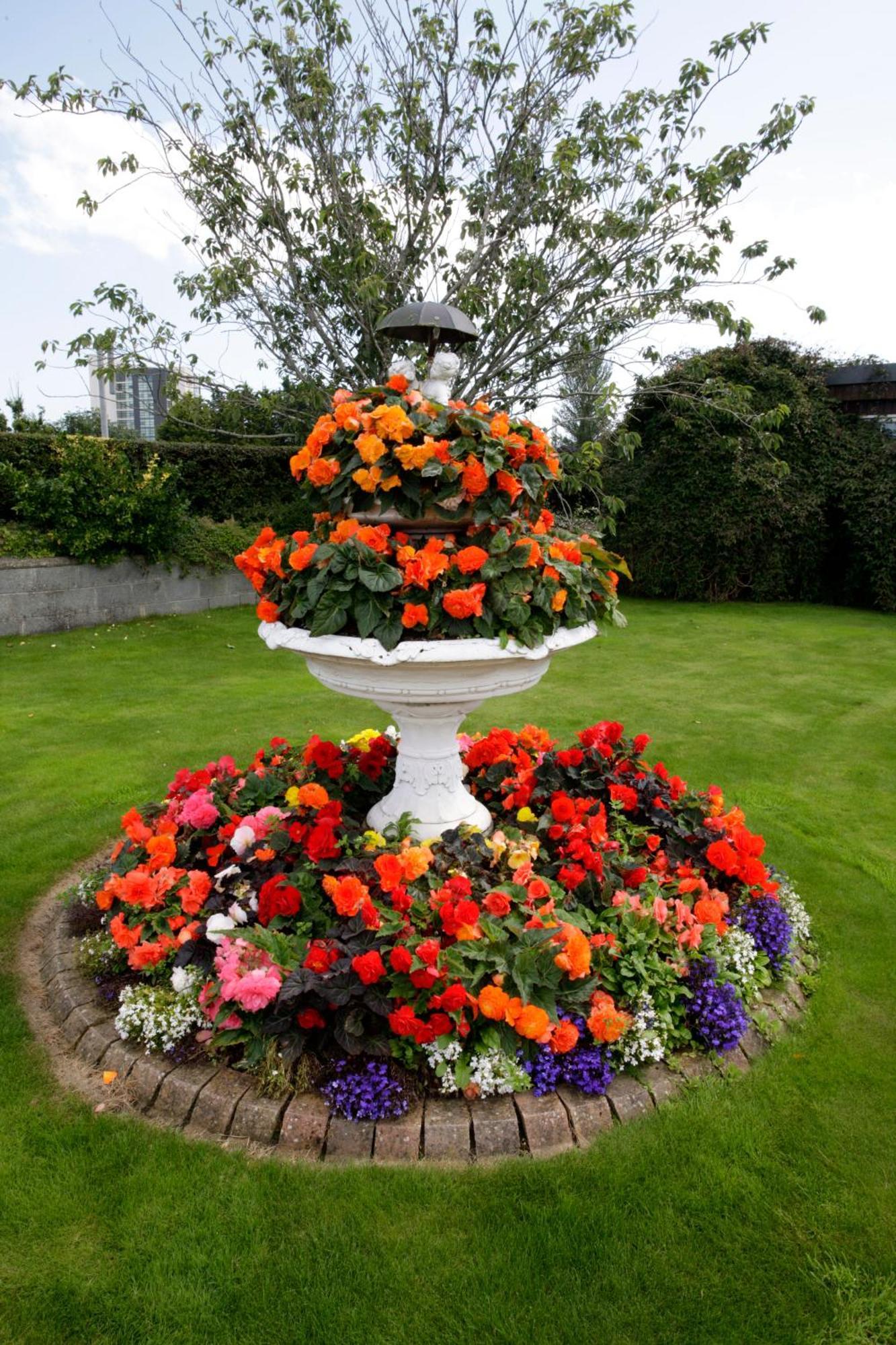 Rosemount B&B Dundalk Exterior foto